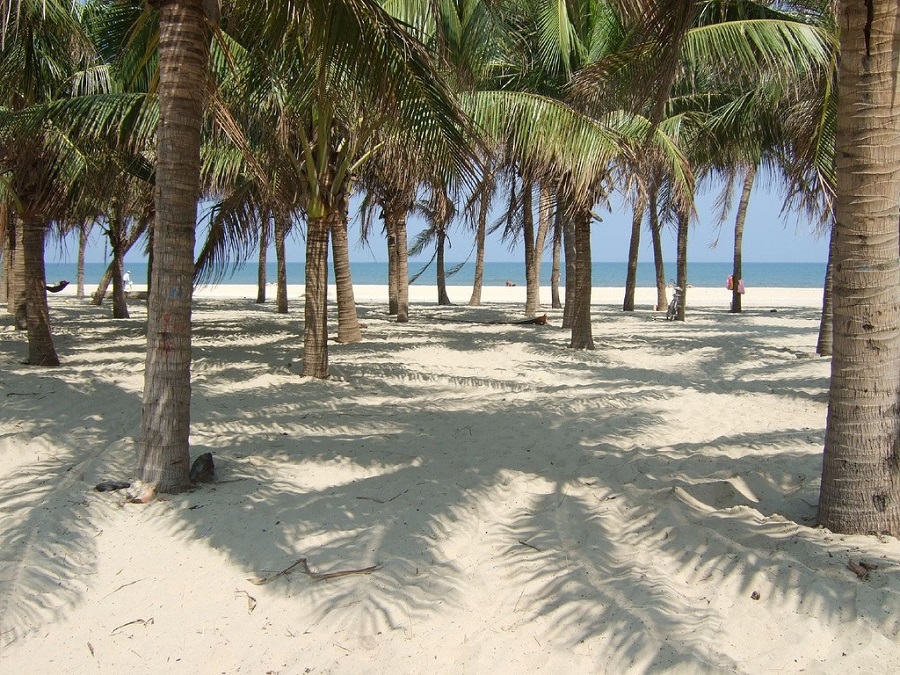biển xanh cát trắng và những hàng dừa tại biển Cửa Đại