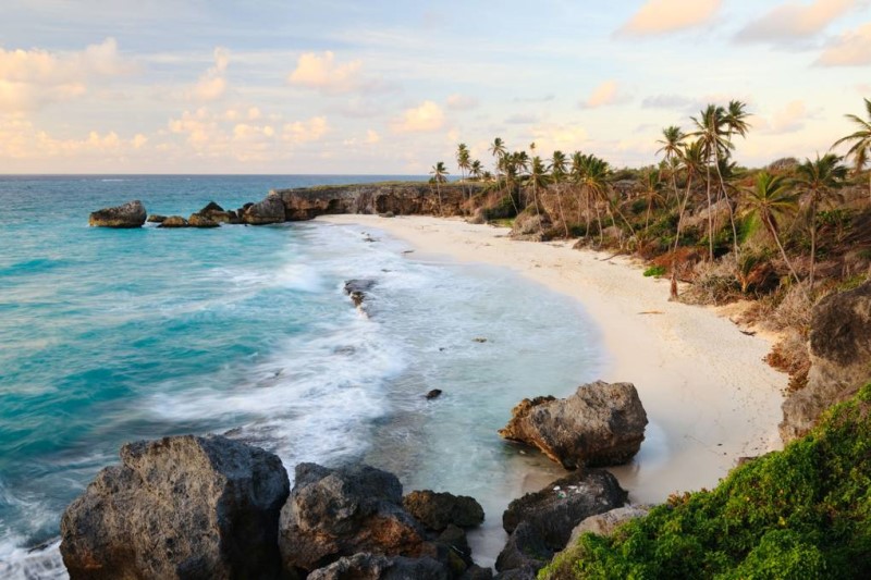 Đảo Barbados với những dãy đá hàng phi lao và bãi biển trong xanh