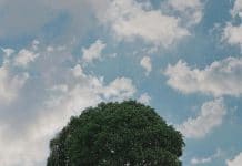 Gợi ý 20 địa điểm tháng 11 nên đi du lịch ở đâu Hấp Dẫn nhất Tháng 11 nên đi du lịch ở đâu