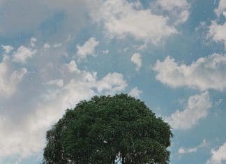 Gợi ý 20 địa điểm tháng 11 nên đi du lịch ở đâu Hấp Dẫn nhất Tháng 11 nên đi du lịch ở đâu