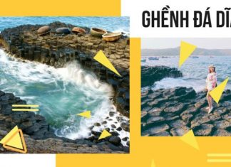 Kinh nghiệm du lịch Gành Đá Đĩa Phú Yên 2020: đường đi, giá vé, có gì đẹp?
