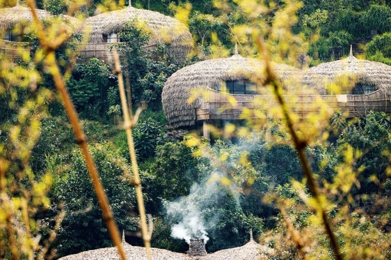 Những ngôi nhà rơm trên cây tại Rwanda