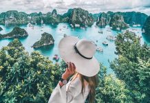 Tháng 6 nên đi du lịch ở đâu? 15 địa danh ở Việt Nam và nước ngoài nên đến Quang cảnh vịnh Hạ Long