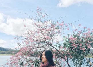 20 địa điểm tháng 2 nên đi du lịch ở đâu thích hợp để du xuân đầu năm Tháng 2 nên đi du lịch ở đâu