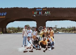 Safari Quy Nhơn ở đâu? Review kinh nghiệm đi Safari Quy Nhơn 2020