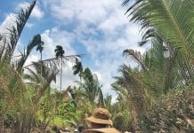 List 23 địa điểm tháng 10 nên đi du lịch ở đâu Việt Nam và Nước Ngoài Cần Thơ mùa nước nổi