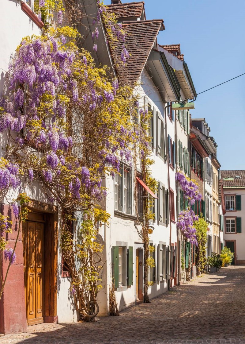 Những ngôi nhà xinh xắn nhiều hoa tại Thành phố Basel