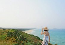 Tuy Hòa Quy Nhơn cách nhau bao xa? Chỉ đường đi từ A-Z