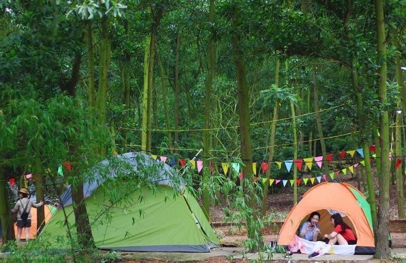 Cắm trại bên rừng trúc
