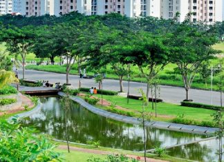 12+ địa điểm picnic ở Quận 7 TpHCM rộng rãi, nhiều cây xanh mát Địa điểm picnic lý tưởng ở quận 7