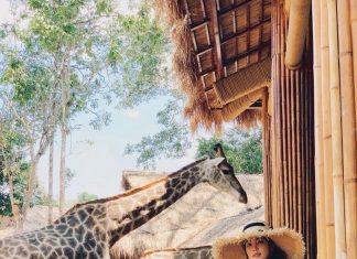 Kinh nghiệm đi Vinpearl Safari Phú Quốc 2020: giá vé, có gì chơi?