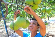 20+ đặc sản Đồng Nai làm quà cho người thân ngon nhất