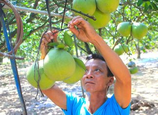 20+ đặc sản Đồng Nai làm quà cho người thân ngon nhất