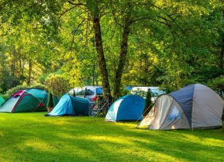 25 khu cắm trại Vũng Tàu đẹp nhất và kinh nghiệm chi tiết Những lều cắm trại trên bãi cỏ xanh mướt