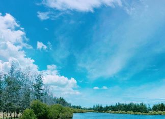 Hồ Cốc Vũng Tàu có gì: Kinh nghiệm du lịch, cắm trại từ A-Z biển hồ cốc