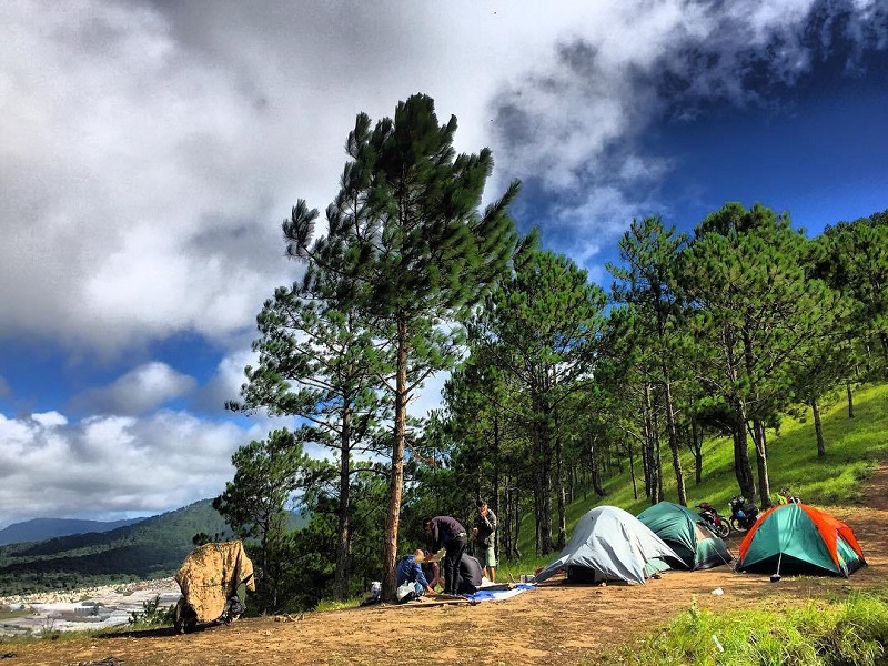 Cắm trại giữa rừng thông trên Hòn Bồ