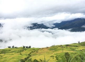 Hướng dẫn chinh phục núi Lảo Thẩn Lào Cai – nóc nhà Y Tý núi lảo thần