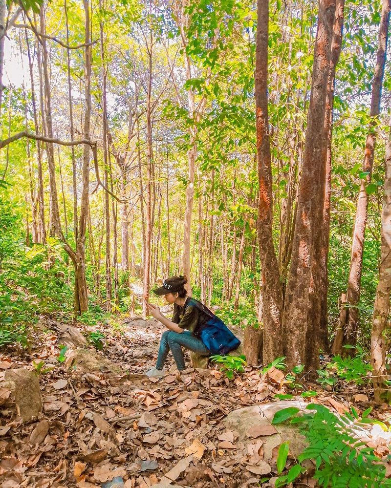 cô gái đang ngồi nghỉ tại rừng cây dọc đường đi Ma Thiên Lãnh
