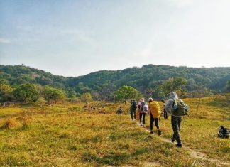 Kinh nghiệm du lịch và trekking vườn quốc gia núi Chúa