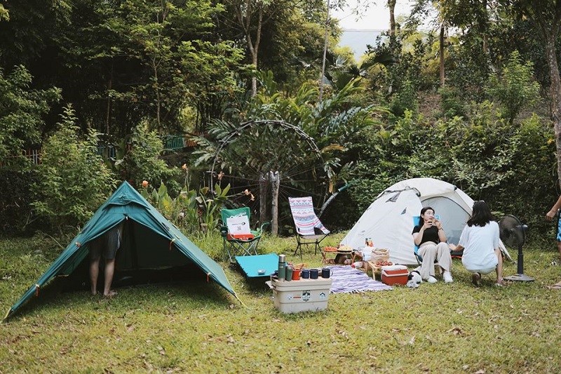 Dựng lều cắm trại cùng với bạn bè 