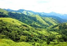 Trekking Tà Năng Phan Dũng 2020: Lịch Trình và Kinh Nghiệm A-Z tà năng phan dũng