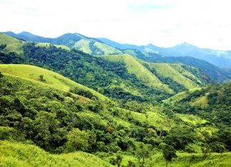 Trekking Tà Năng Phan Dũng 2020: Lịch Trình và Kinh Nghiệm A-Z tà năng phan dũng