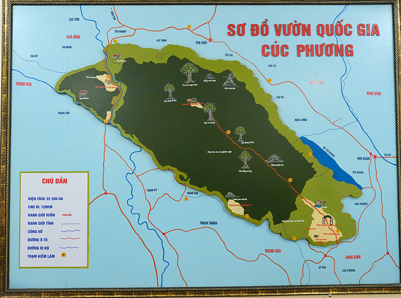 sơ đồ cúc phương