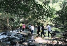 Kinh nghiệm và lịch trình trekking Bù Gia Mập 2 ngày 1 đêm từ A-Z
