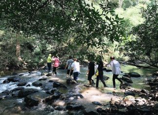 Kinh nghiệm và lịch trình trekking Bù Gia Mập 2 ngày 1 đêm từ A-Z