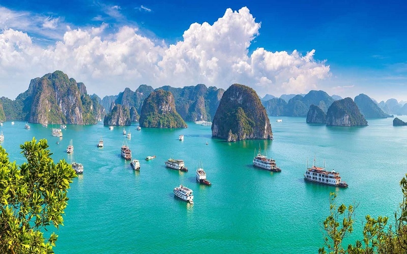 Quảng Ninh được biết đến là một tỉnh thành phố thuộc vùng Đông Bắc Việt Nam, có hình dáng giống như một con cá sấu nằm theo hướng Đông Bắc - Tây Nam. Tỉnh thành này giáp với Trung Quốc, Vịnh Bắc Bộ, Hải Dương, Hải Phòng, Lạng Sơn và Bắc Giang.