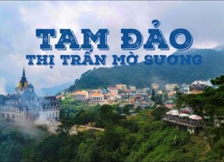 Kinh nghiệm du lịch Tam Đảo tự túc 2020: có gì chơi, ở đâu, chi phí,.. Về vị trí địa lý, Tam Đảo thuộc thị trấn Tam Đảo, tỉnh Vĩnh Phúc. Đây là một thị trấn nhỏ nằm trên dãy núi Tam Đảo, với độ cao 900m so với mực nước biển.