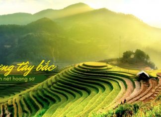 Kinh nghiệm du lịch Tây Bắc: 25 địa điểm du lịch Tây Bắc đẹp nhất! Cánh đồng lúa bậc thang Tây Bắc mênh mông, bát ngát, xanh mướt trong ánh nắng