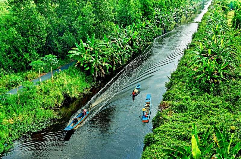 Lướt thuyền trên con kênh chạy dọc khu rừng u minh hạ xanh mênh mông