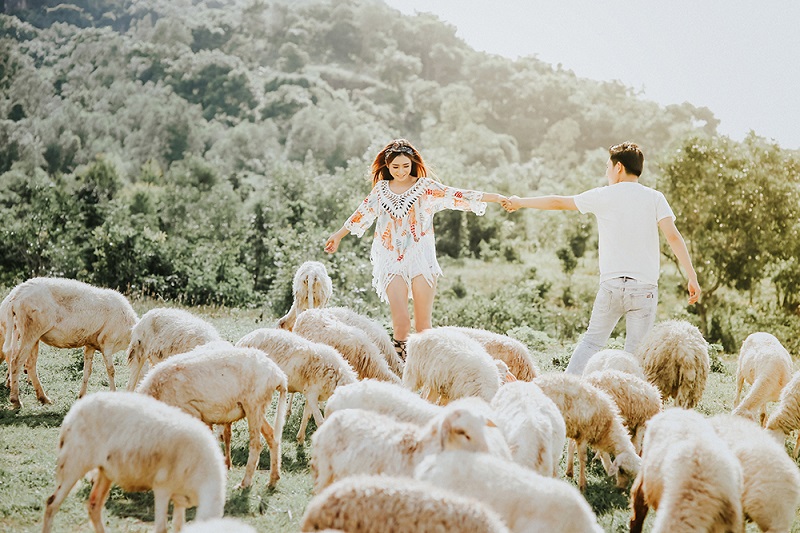 Một cặp đôi chụp ảnh ở đồi cừu Suối Nghệ