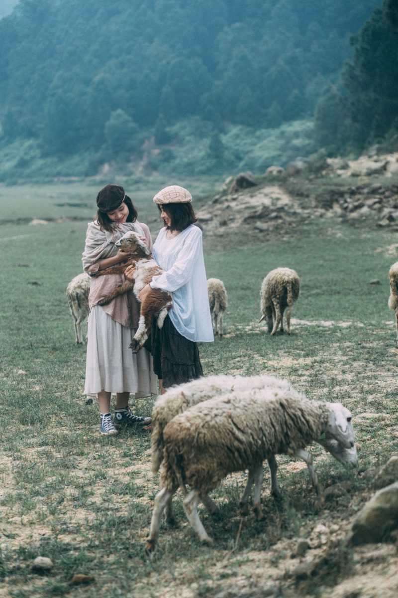 Hai bạn nữ đang vui đùa với các chú cừu ở Đồi Cừu