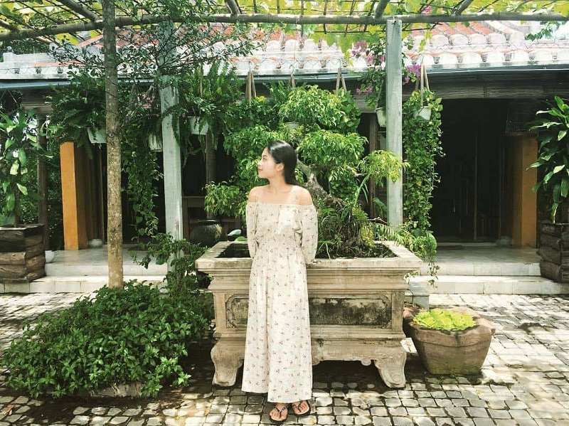 Lemongrass